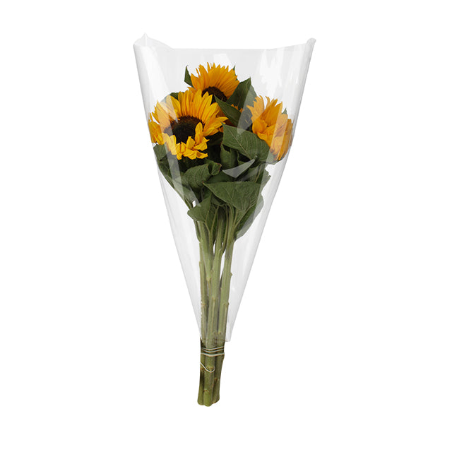 Clear Sleeves for Sunflowers