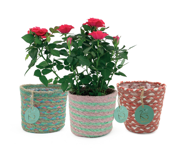 Pots