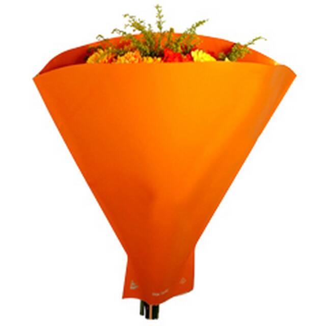 Metallic Sleeve Orange