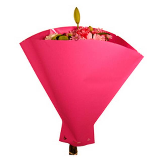 Metallic Sleeve Pink