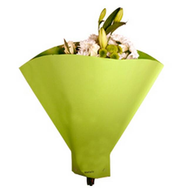 Metallic Sleeve Green