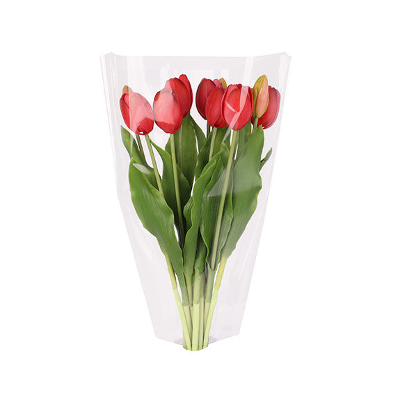 Clear Sleeves for Tulips
