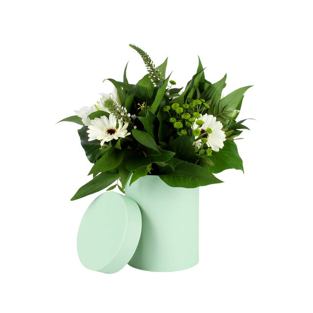 PK Photo Hatbox Pastel Green