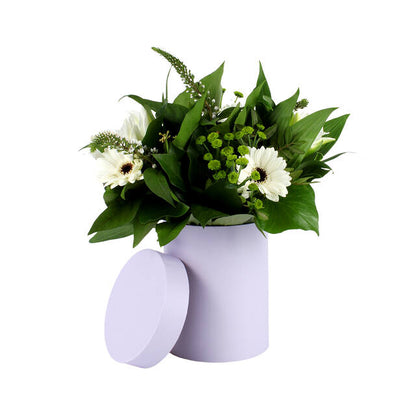 PK Photo Hatbox Pastel Purple