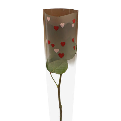All Hearts Single Rose Sleeve 